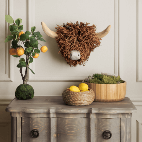 Wall Mounted Highland Cow Wooden Sculpture