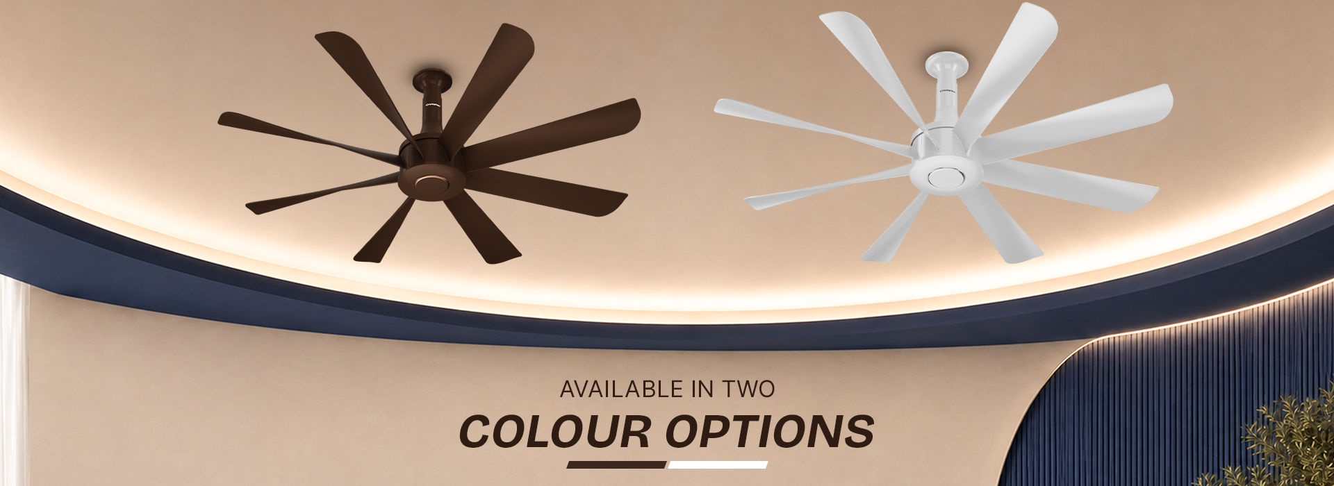 Available In Two Colour Options