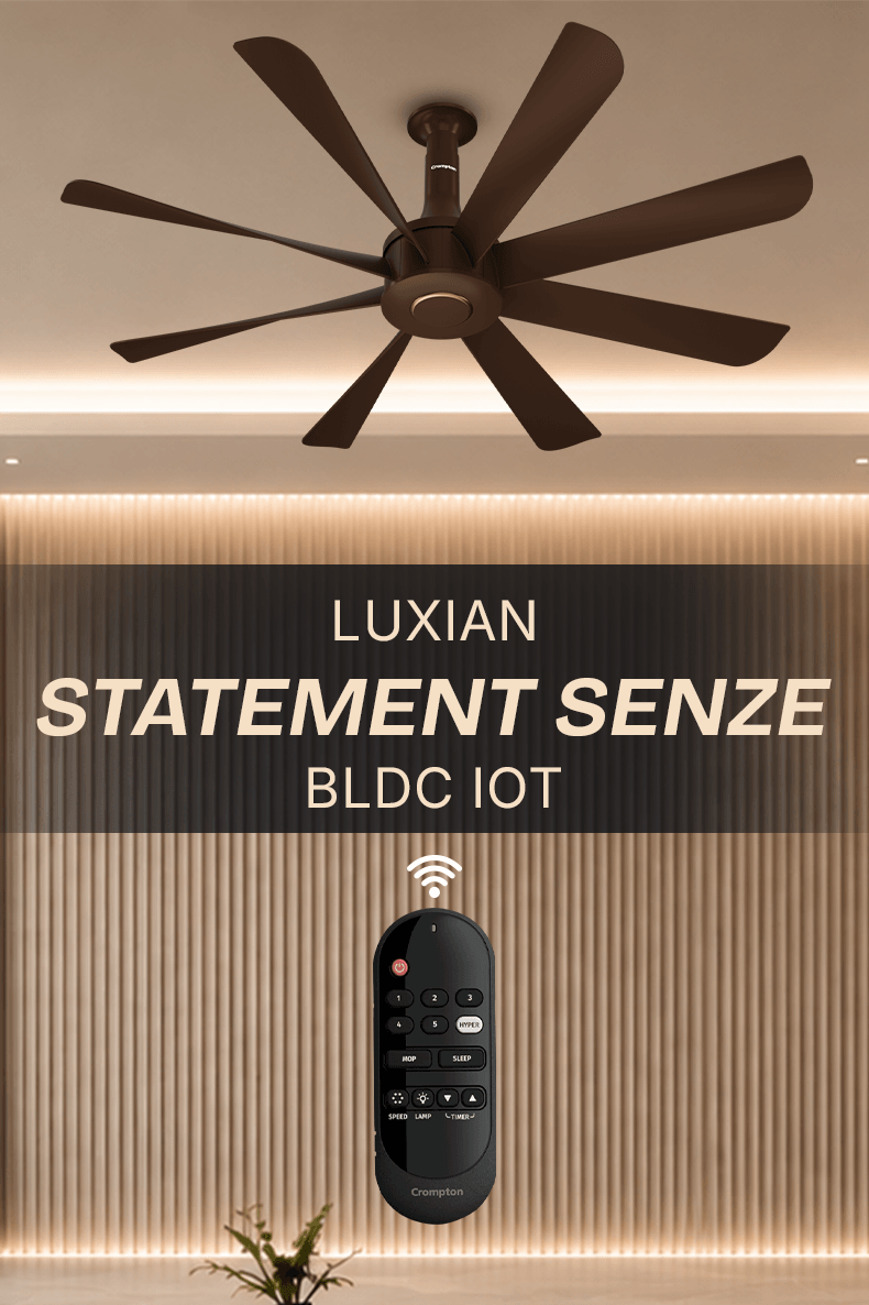 Luxian Statement Senze