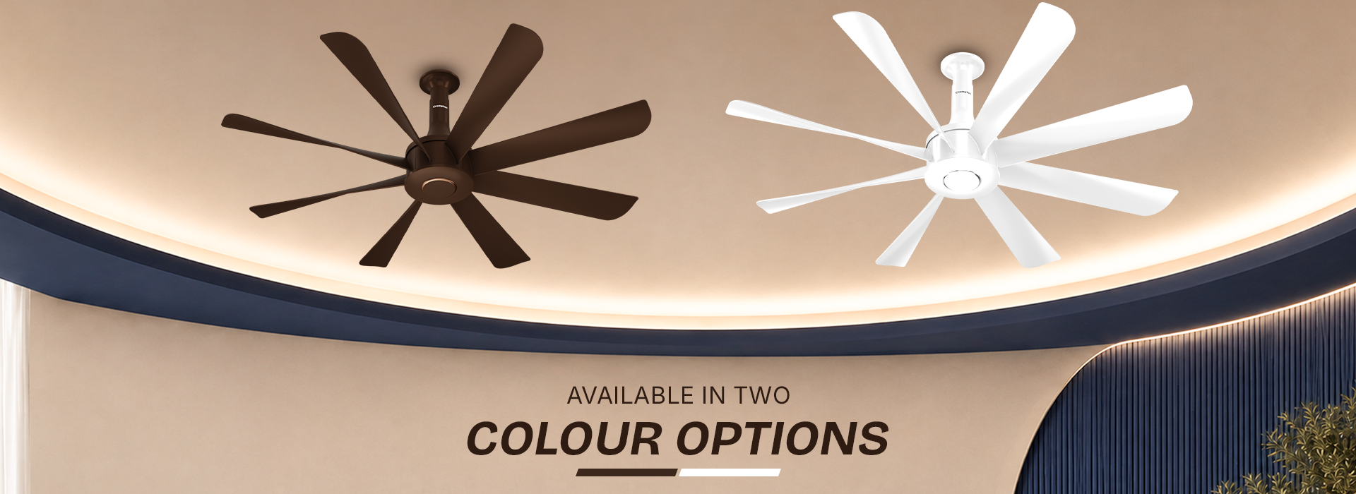 Available In Two Colour Options