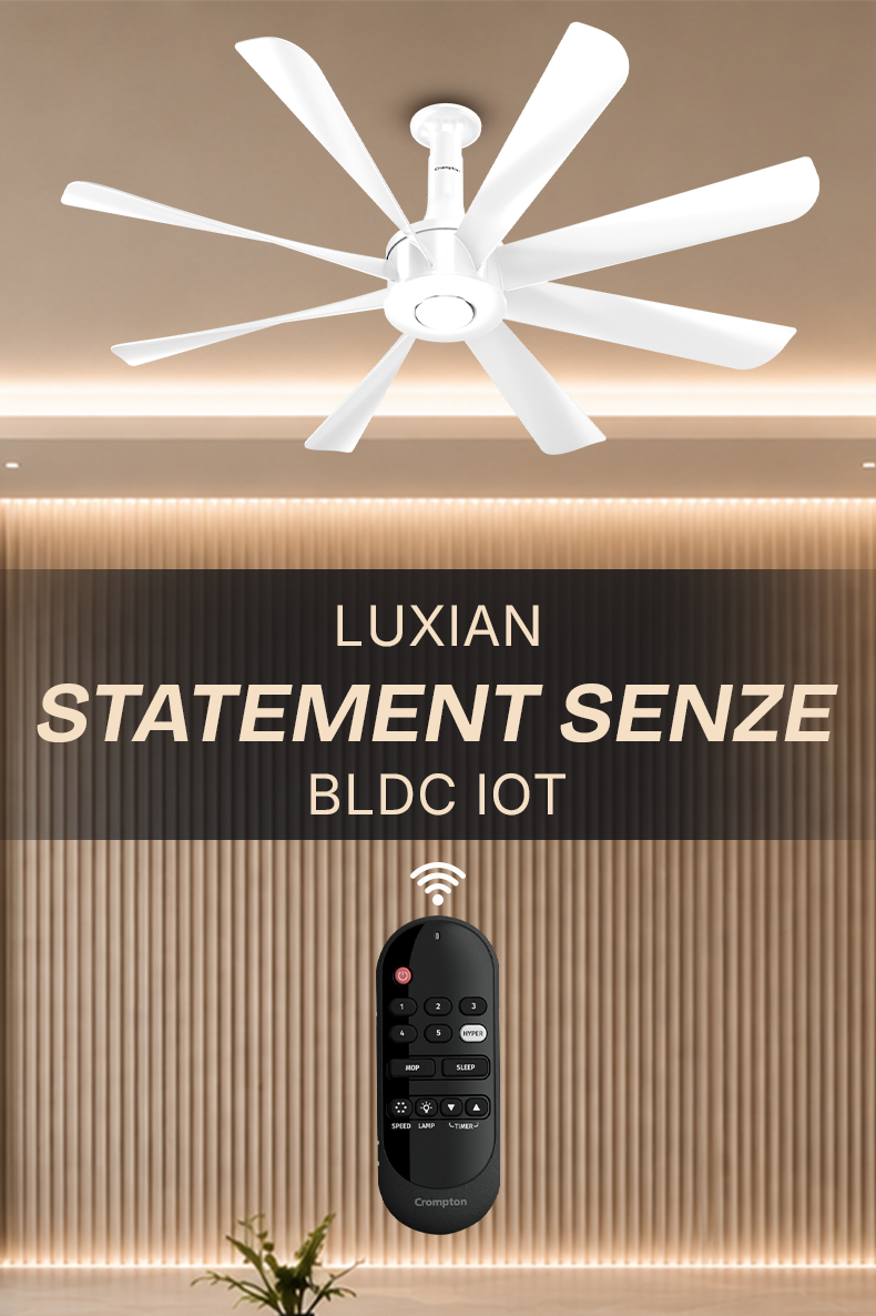 Luxian Statement Senze