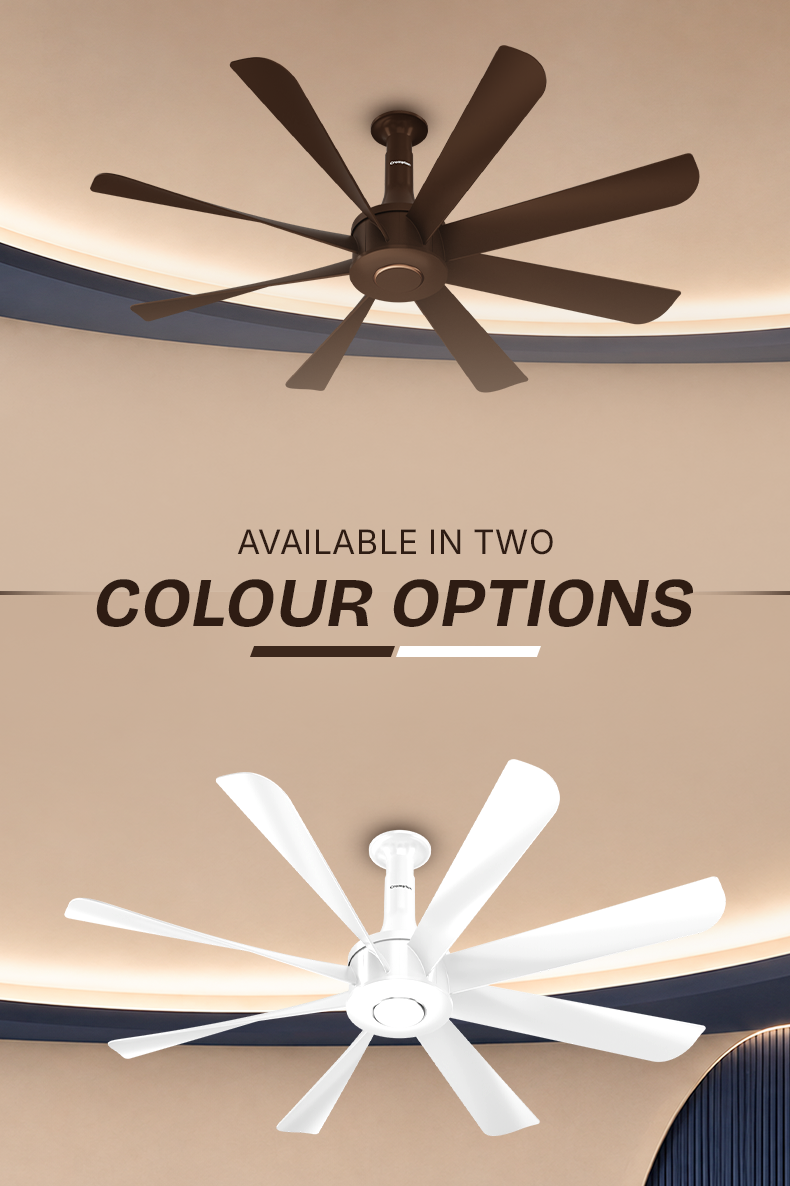 Available In Two Colour Options