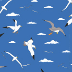 Gulls