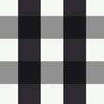 Black & White Gingham