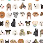 Dog Park