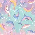 Dolphin Magic
