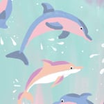 Dolphin Magic