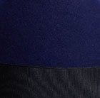 Electric Blue