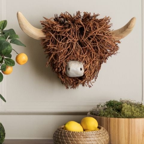 A highland cow bust sculpture mounted on a beige wall.