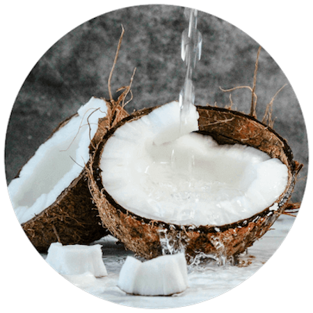 Coconut Oil