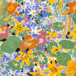 Nasturtium