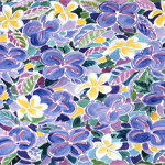 Frangipani