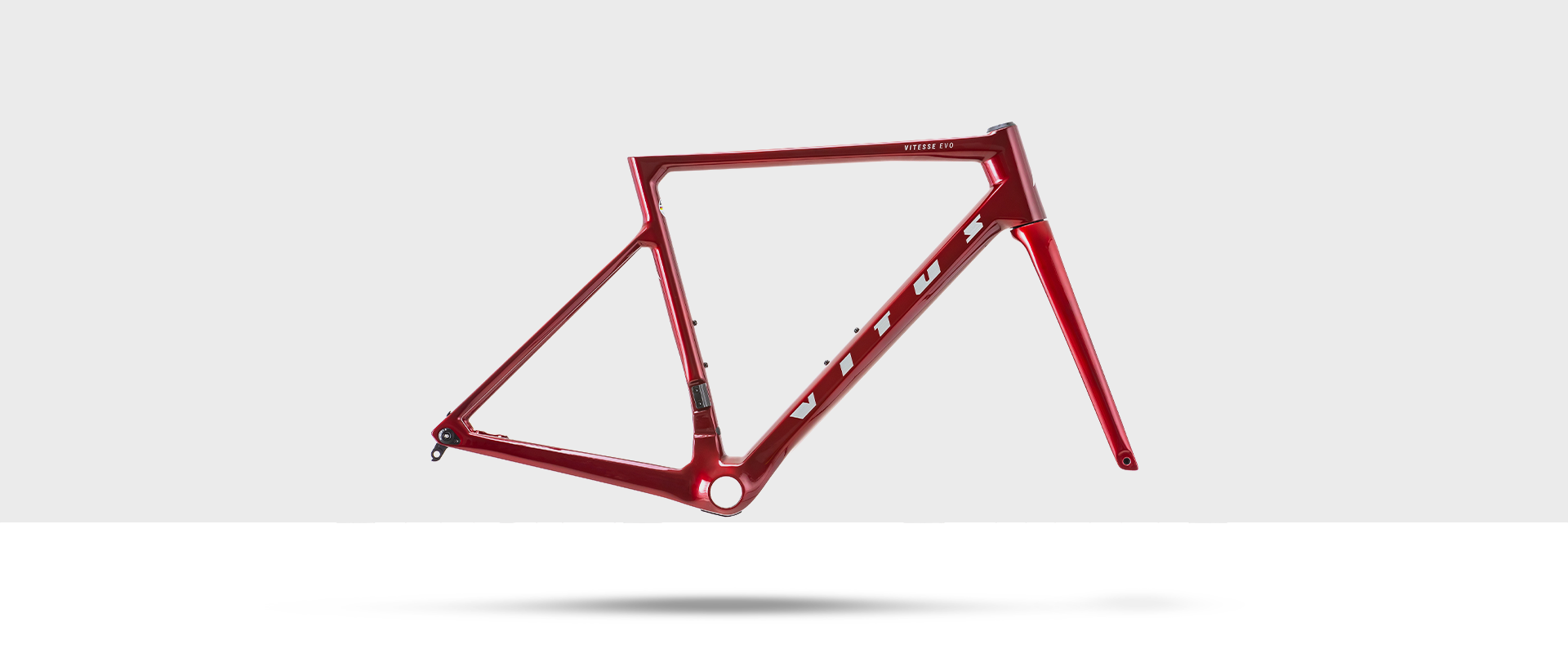 Vitus Vitesse EVO Frameset Vitus Bikes