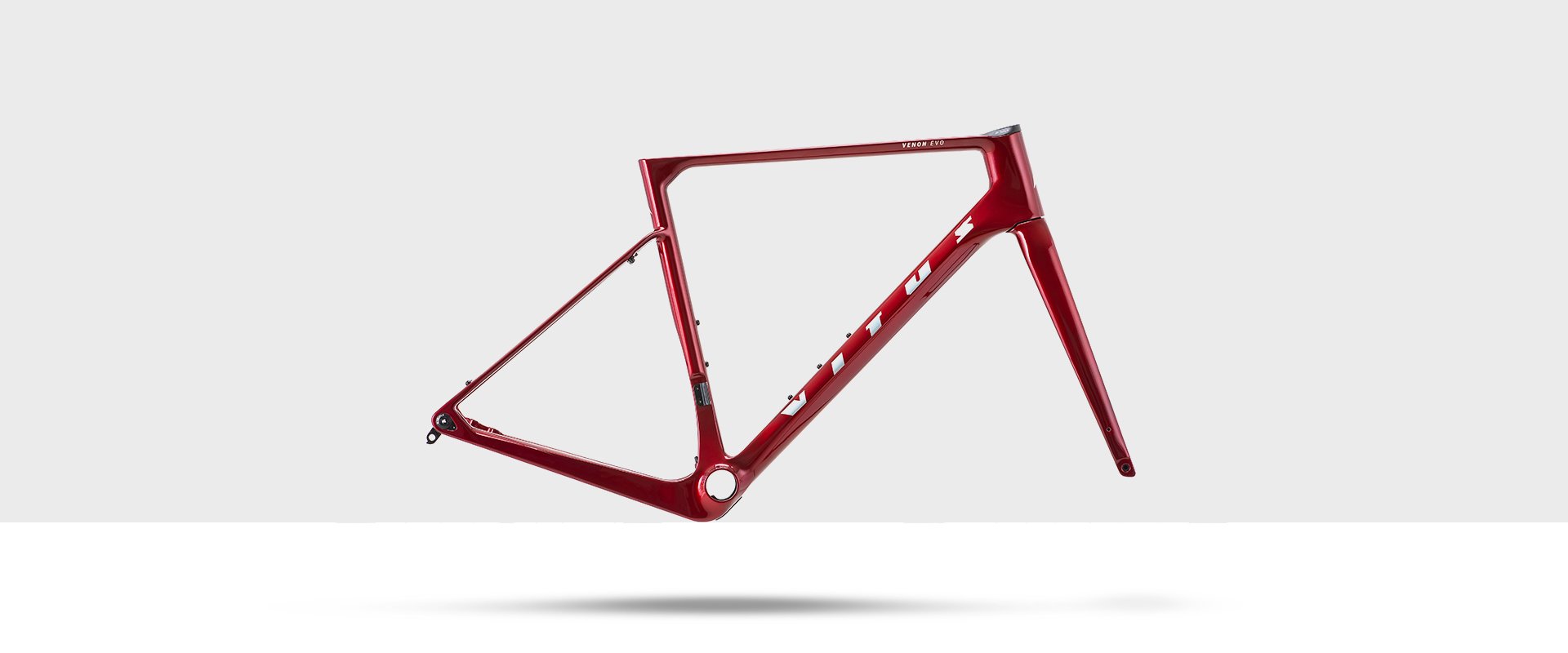 Vitus Venon EVO Frameset