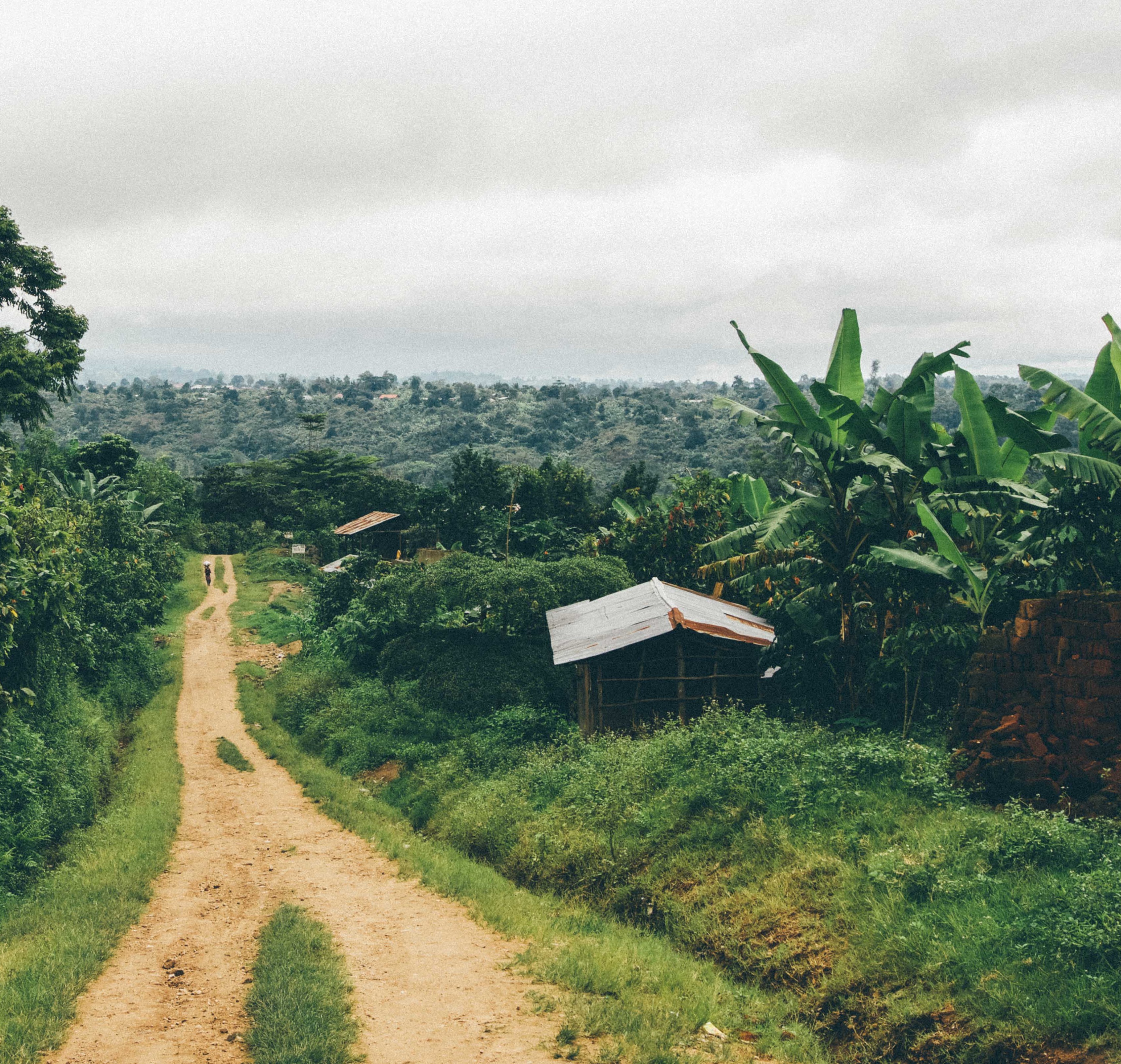 Farm in Uganda