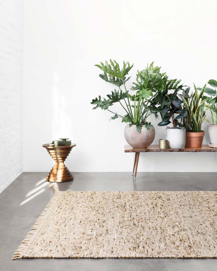 Irvine Collection
