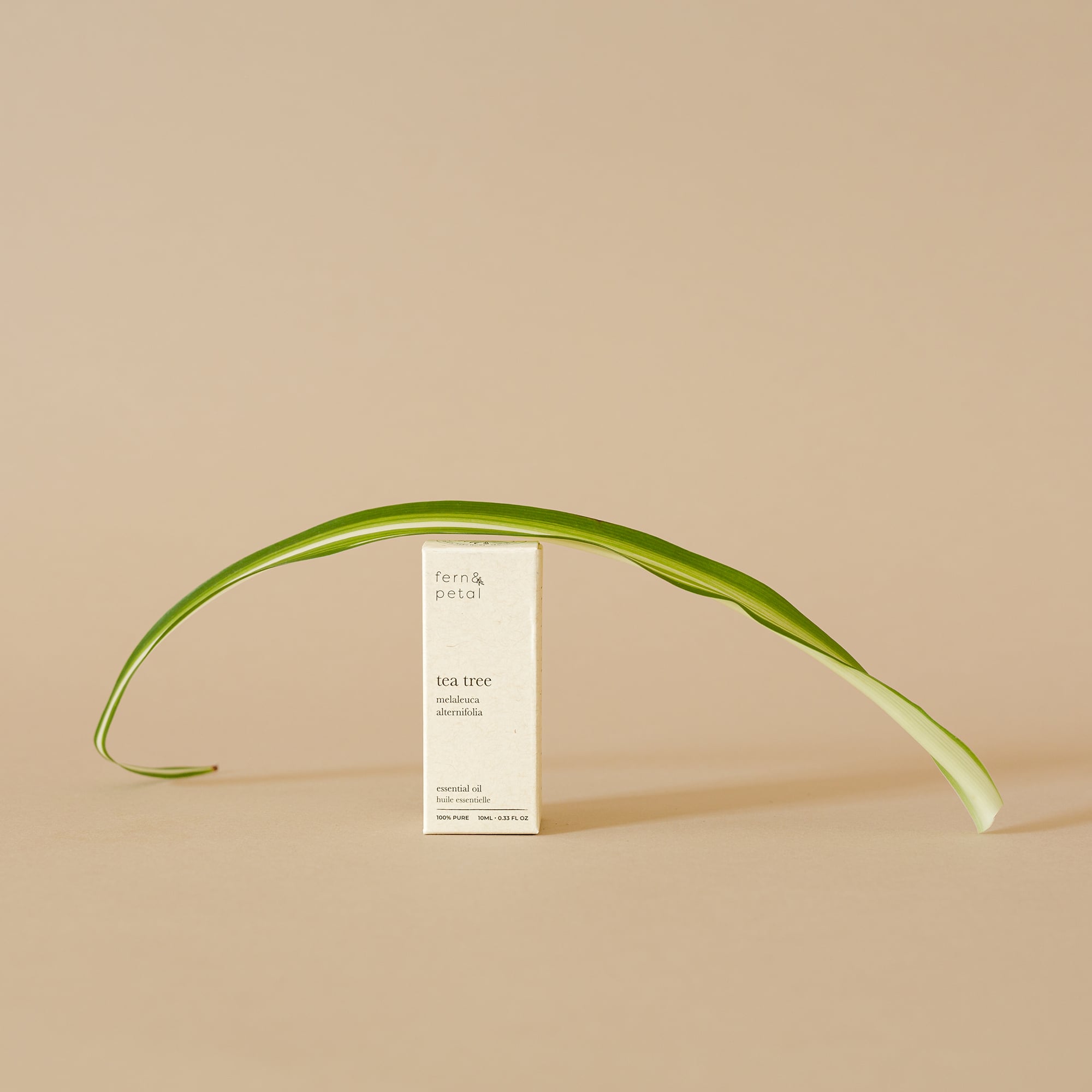 100% Pure Tea Tree Essential Oil | Bottled in Canada | Fern & Petal ...