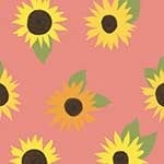 Sunflower Sunshine