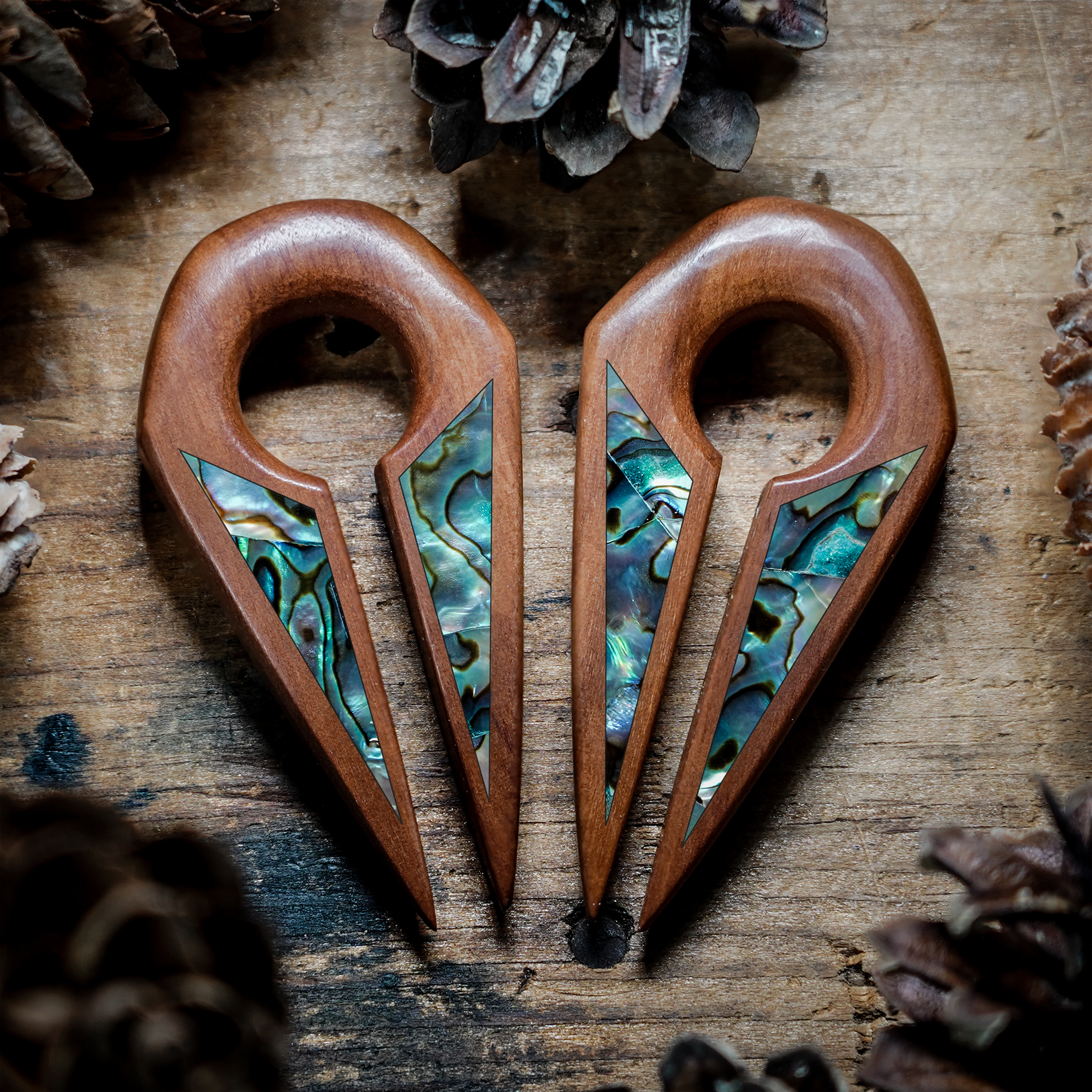 Fantastic  Saba Abalone - Keyhole Ear Weights (Pair)