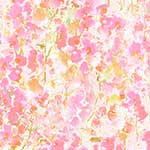Budding Blossom