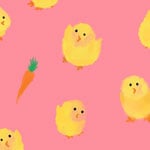 Little Chick
