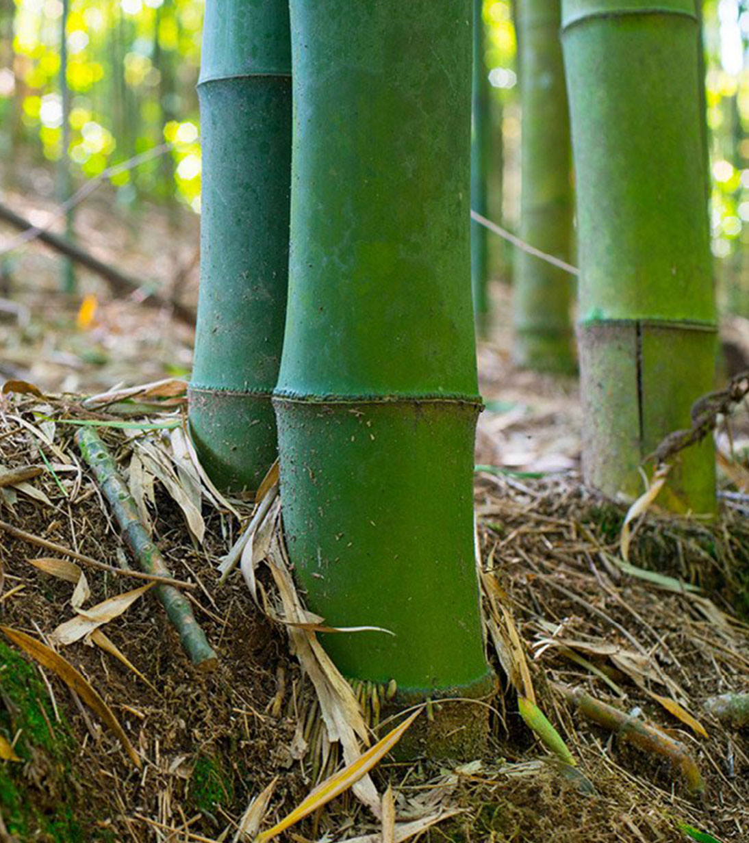 Made from: Bamboo blend