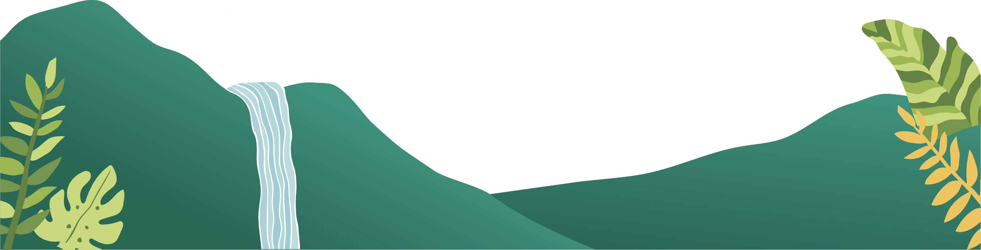 landscape divider