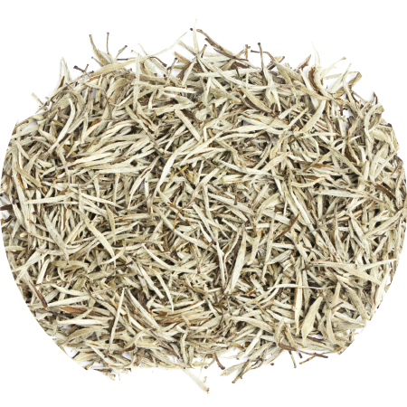 White Tea Leaf Extract