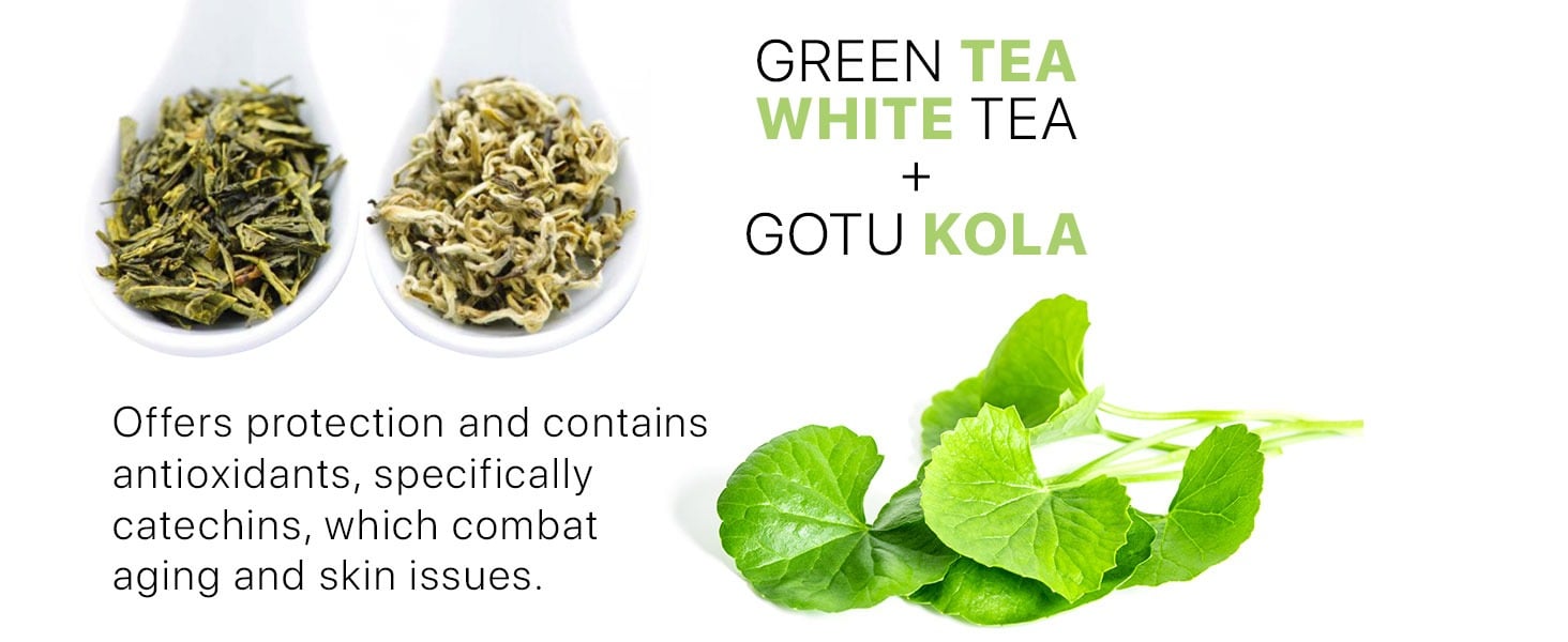 GREEN TEA
WHITE TEA
and
GOTU KOLA
Offers protection and contains
antioxidants, specifically
catechins, which combat
aging and skin issues.