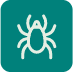 Dust Mite