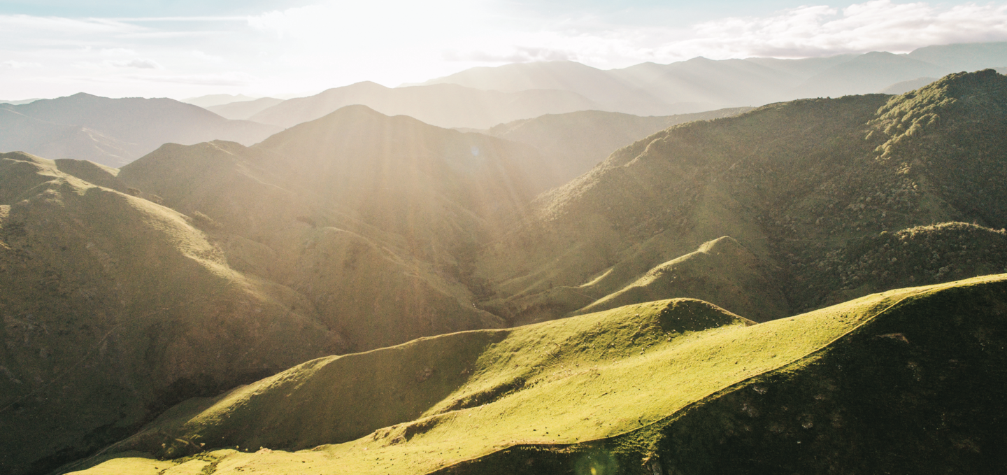 A Taste of New Zealand in Every Bite