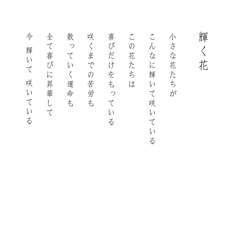 陶彩画_自在作品_輝く花_詩