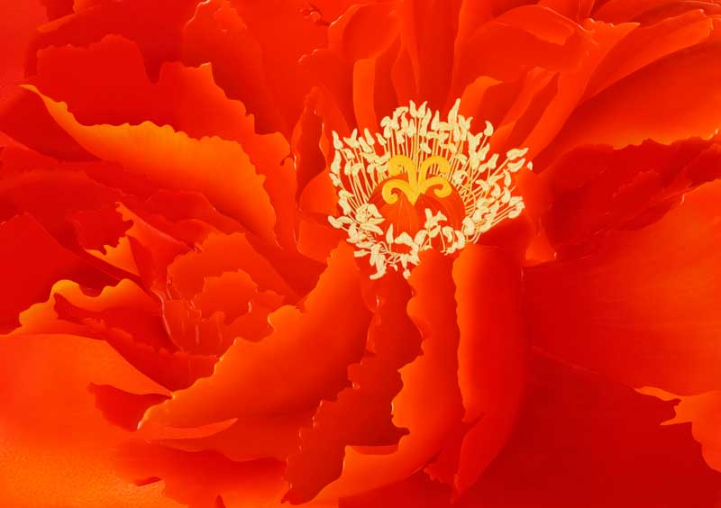 デジタルシルクスクリーン_いのちの花_全体