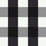 Black & White Gingham