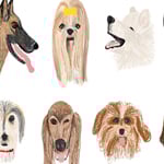 Dog Park
