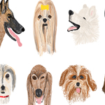 Dog Park