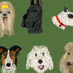 Dog Park