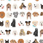 Dog Park
