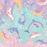 Dolphin Magic