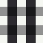 Black & White Gingham