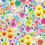 Field Of Dreams In Colour