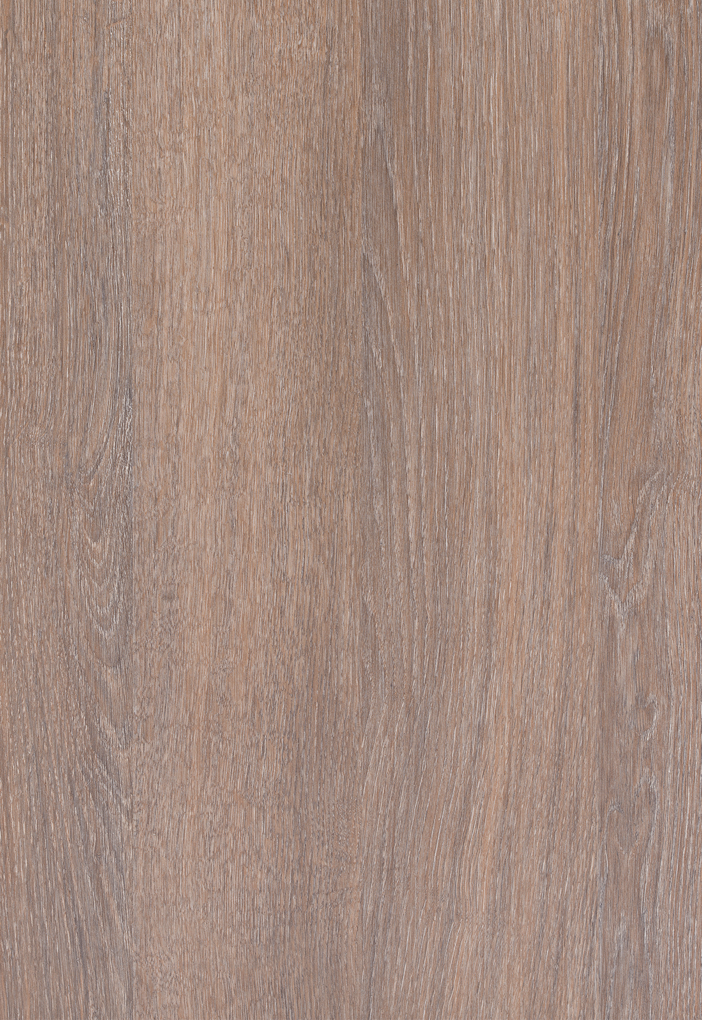 wissner-bosserhoff sentida sc Ts Homecare Bed, Italian Oak | Made in ...