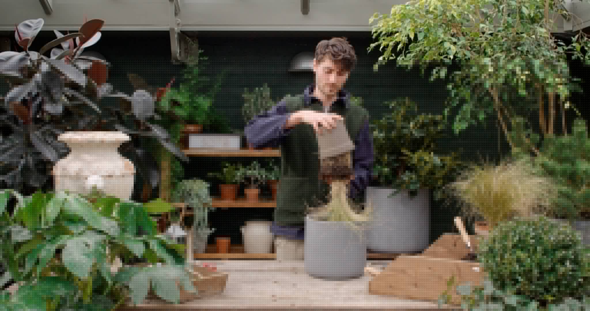 Video placeholder