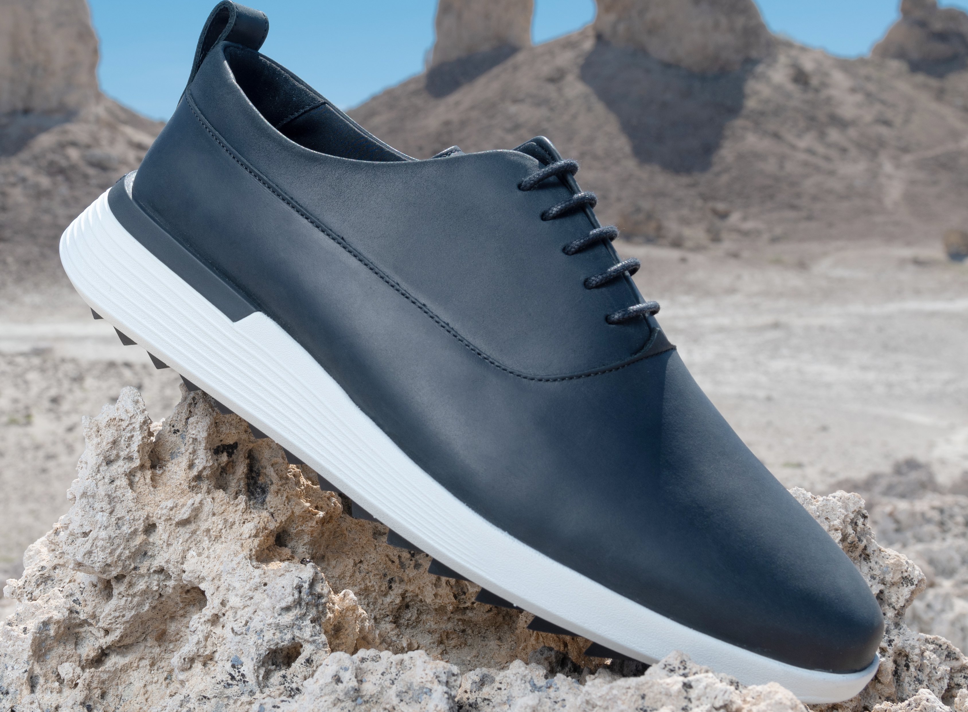 Crossover Longwing WTZ in Navy on a rock with the desert in the background