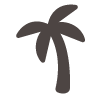 feature icon palm tree icon