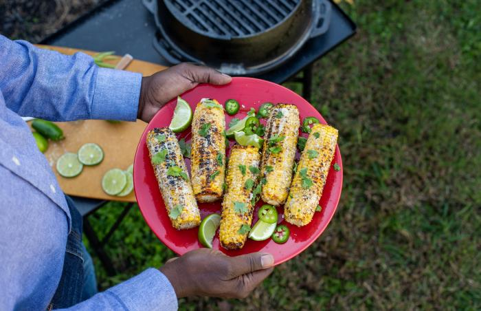 9 Vegetarian Grilling Recipes to Inspire Your Next Cookout