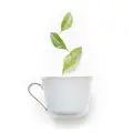 Pedi Moments Green Tea Detox