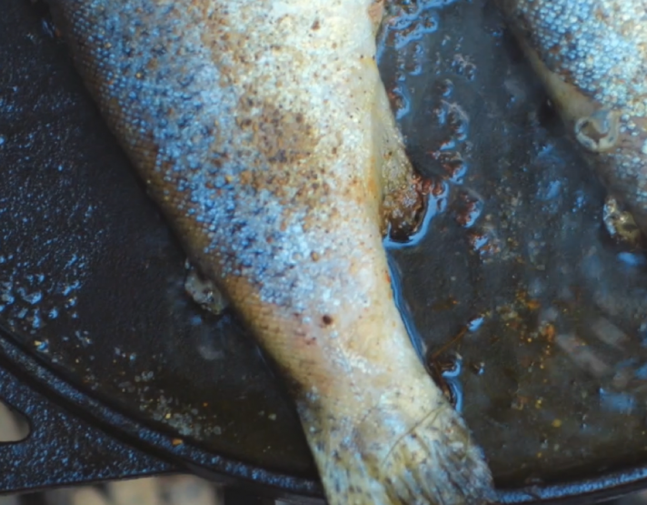 How to Fix Common Cast Iron Concerns