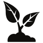 What is the best soil for Philodendron Fuzzy Petiole?