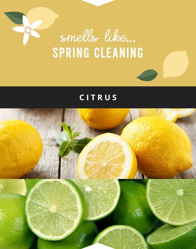 Collage for Smells Like... Spring Cleaning